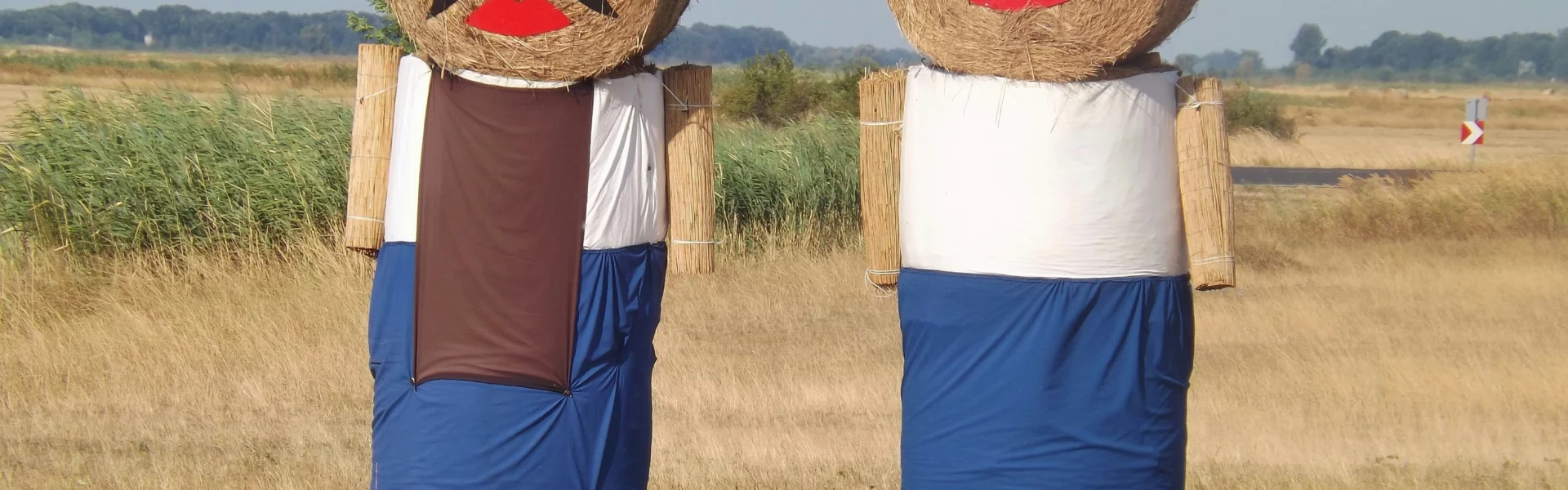 hungarian agriculture