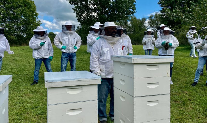 Discover Beekeeping in Poland: Apiary Tours, Workshops & Bee Farm Visits