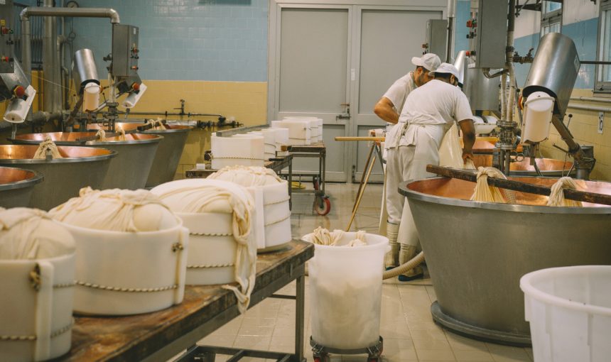 Discover polish farmer cheese: Goat Farms & Traditional Cheesemaking Tour