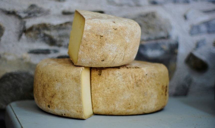 Explore Polish Farmer Cheese: 2-Day Cheese Trail in Poznan areas